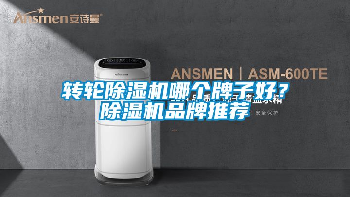 转轮好色先生污污版哪个牌子好？好色先生污污版品牌推荐