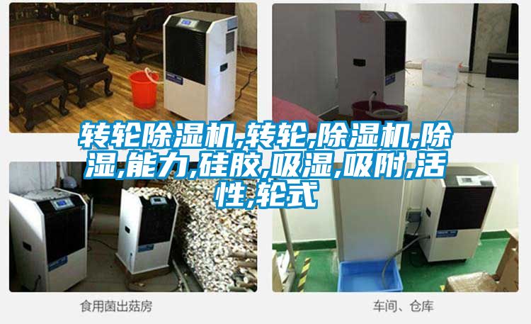 转轮好色先生污污版,转轮,好色先生污污版,除湿,能力,硅胶,吸湿,吸附,活性,轮式