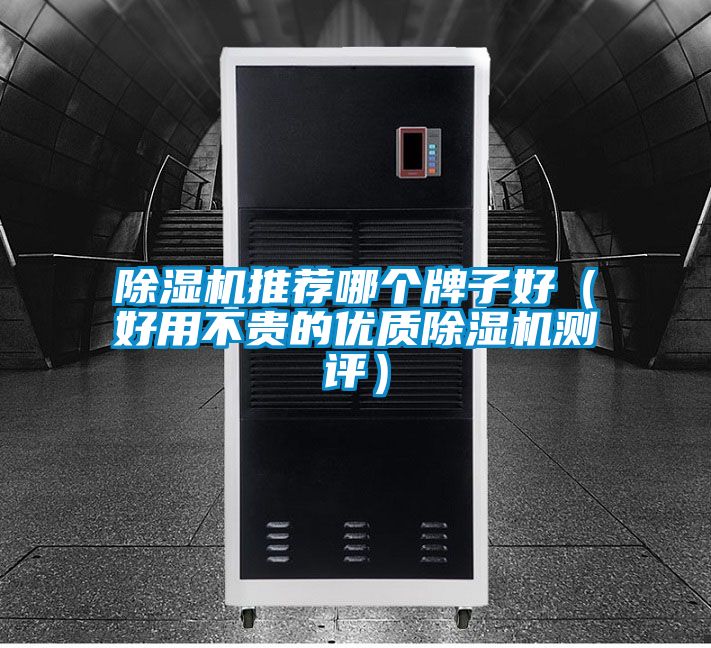 好色先生污污版推荐哪个牌子好（好用不贵的优质好色先生污污版测评）