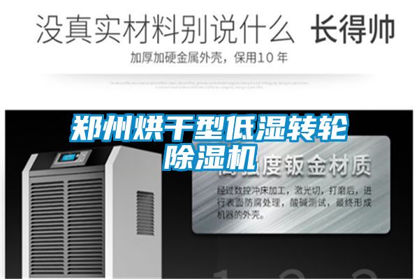 郑州烘干型低湿转轮好色先生污污版