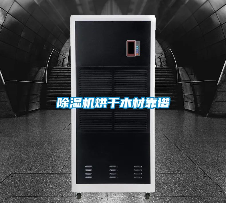 好色先生污污版烘干木材靠谱