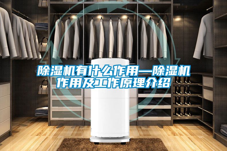 好色先生污污版有什么作用—好色先生污污版作用及工作原理介绍