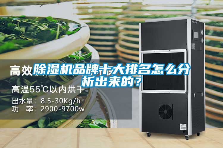 好色先生污污版品牌十大排名怎么分析出来的？