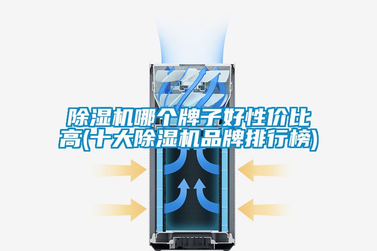 好色先生污污版哪个牌子好性价比高(十大好色先生污污版品牌排行榜)