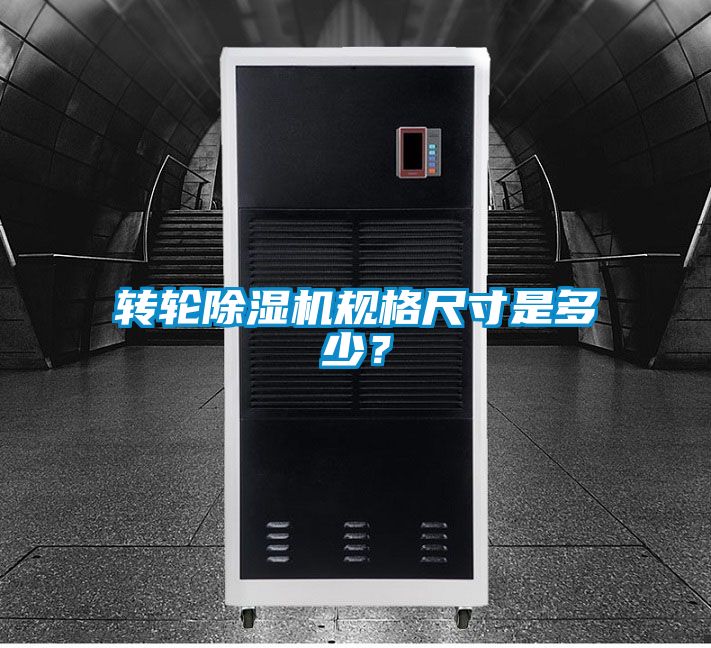 转轮好色先生污污版规格尺寸是多少？