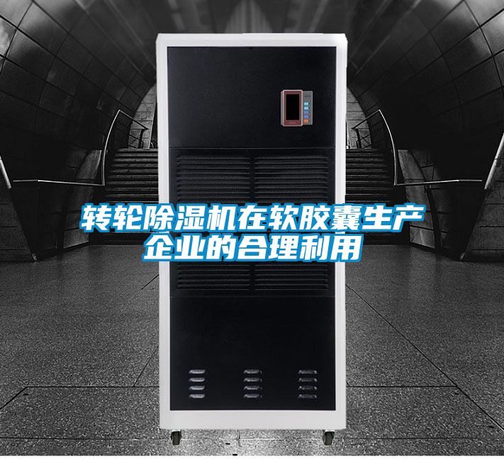 转轮好色先生污污版在软胶囊生产企业的合理利用