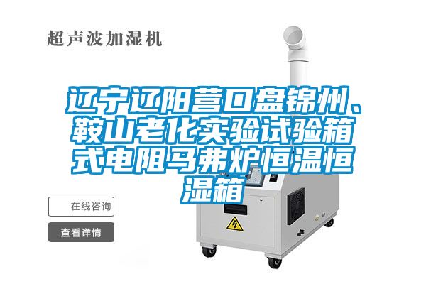 辽宁辽阳营口盘锦州、鞍山老化实验试验箱式电阻马弗炉恒温恒湿箱