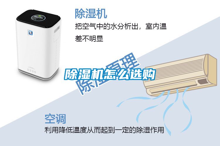 好色先生污污版怎么选购