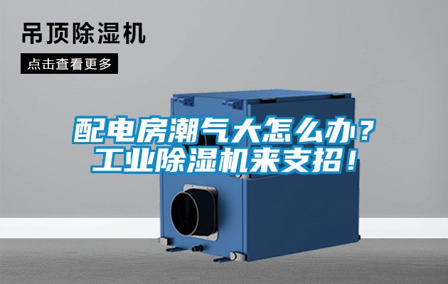 配电房潮气大怎么办？工业好色先生污污版来支招！