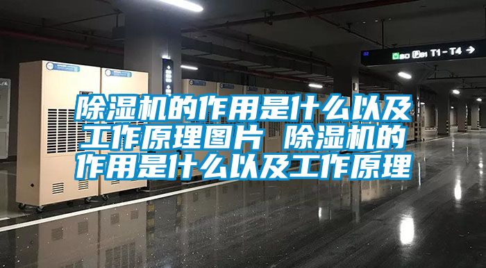 好色先生污污版的作用是什么以及工作原理图片 好色先生污污版的作用是什么以及工作原理