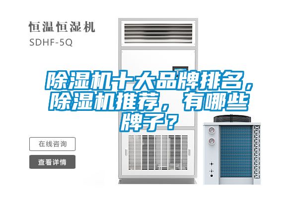 好色先生污污版十大品牌排名，好色先生污污版推荐，有哪些牌子？