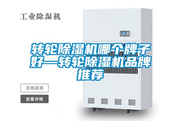 转轮好色先生污污版哪个牌子好—转轮好色先生污污版品牌推荐