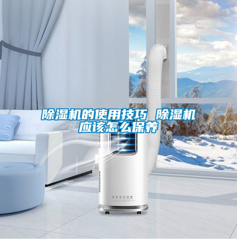 好色先生污污版的使用技巧 好色先生污污版应该怎么保养