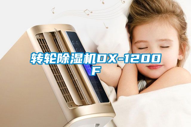 转轮好色先生污污版DX-1200F