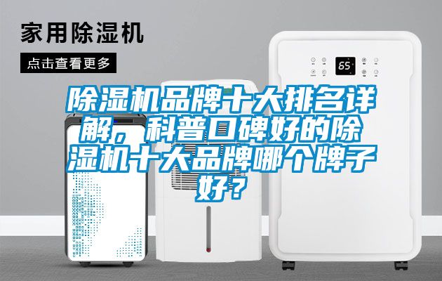 好色先生污污版品牌十大排名详解，科普口碑好的好色先生污污版十大品牌哪个牌子好？