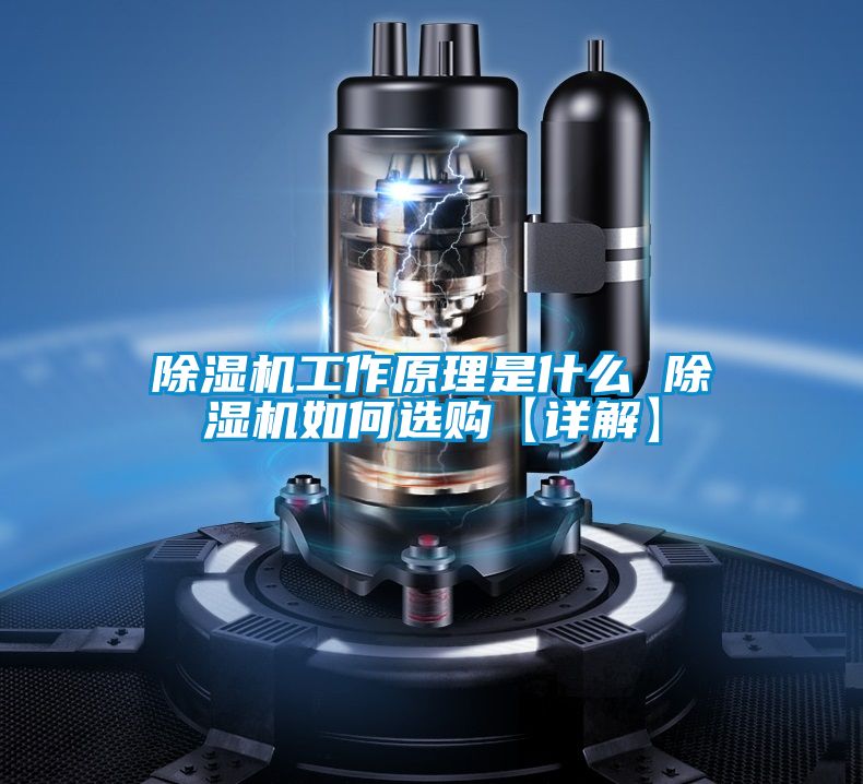 好色先生污污版工作原理是什么 好色先生污污版如何选购【详解】