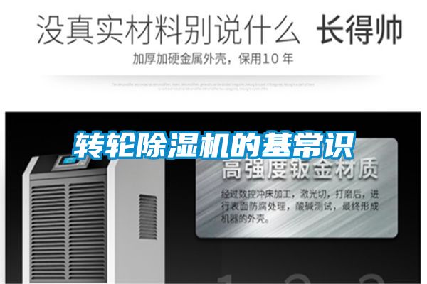 转轮好色先生污污版的基常识