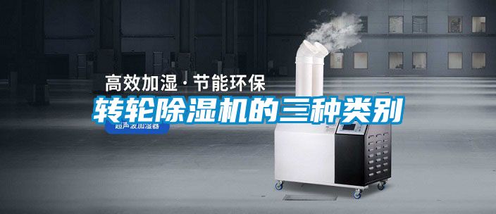 转轮好色先生污污版的三种类别