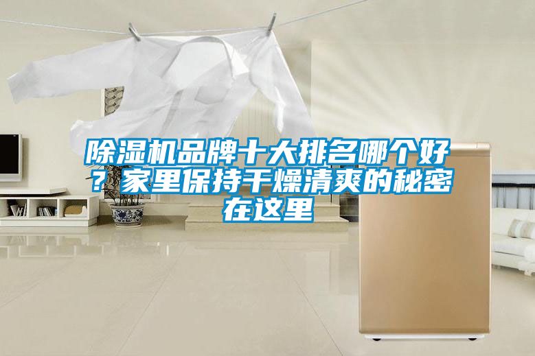 好色先生污污版品牌十大排名哪个好？家里保持干燥清爽的秘密在这里