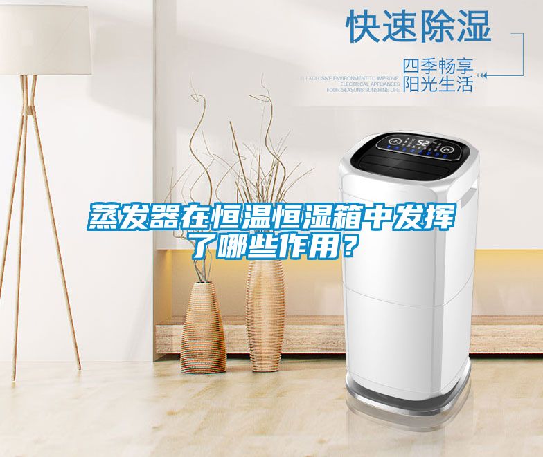 蒸发器在恒温恒湿箱中发挥了哪些作用？