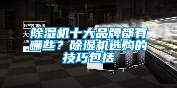 好色先生污污版十大品牌都有哪些？好色先生污污版选购的技巧包括