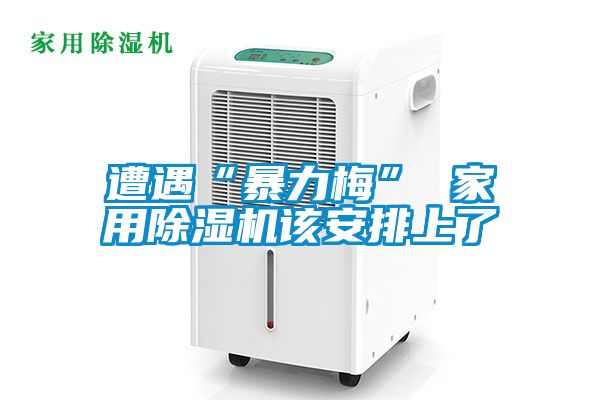 遭遇“暴力梅” 家用好色先生污污版该安排上了