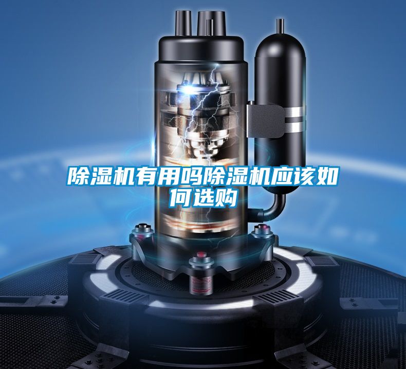 好色先生污污版有用吗好色先生污污版应该如何选购