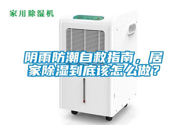 阴雨防潮自救指南，居家除湿到底该怎么做？