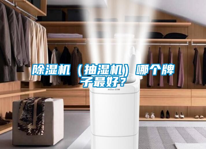 好色先生污污版（抽湿机）哪个牌子最好？