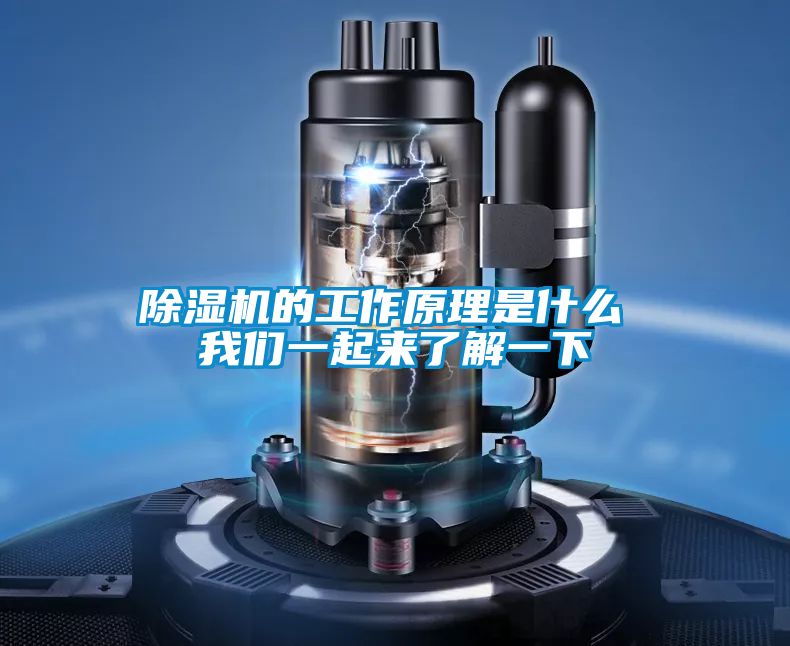 好色先生污污版的工作原理是什么 好色直播下载一起来了解一下