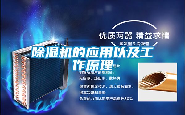 好色先生污污版的应用以及工作原理