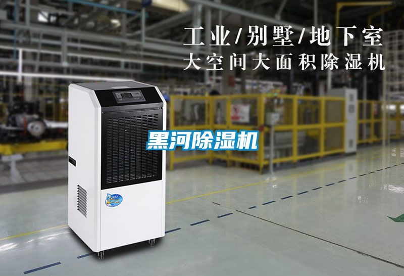 黑河好色先生污污版