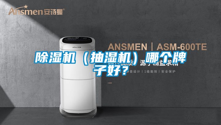 好色先生污污版（抽湿机）哪个牌子好？