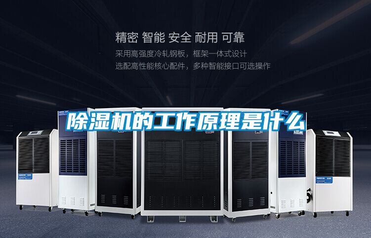 好色先生污污版的工作原理是什么