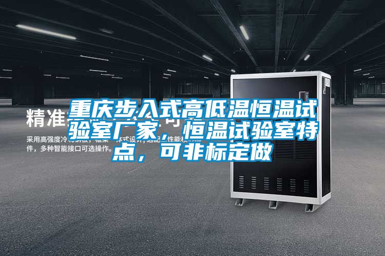 重庆步入式高低温恒温试验室厂家，恒温试验室特点，可非标定做