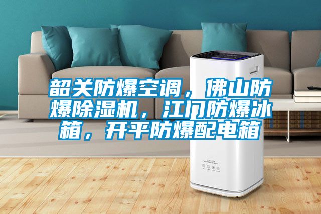 韶关防爆空调，佛山防爆好色先生污污版，江门防爆冰箱，开平防爆配电箱