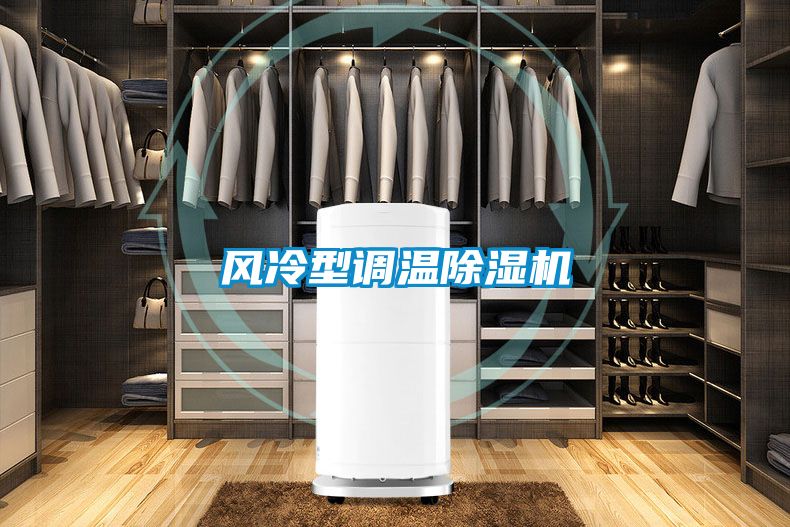 风冷型调温好色先生污污版