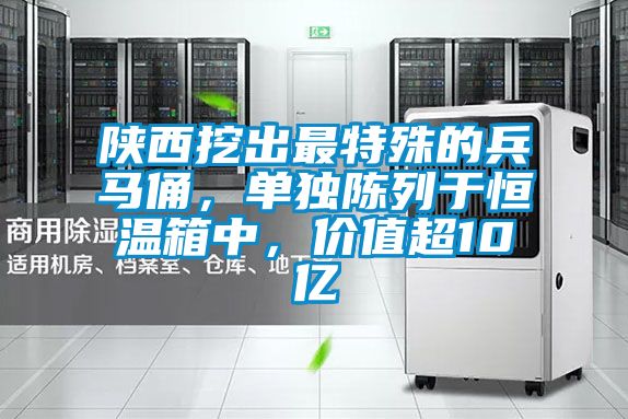 陕西挖出最特殊的兵马俑，单独陈列于恒温箱中，价值超10亿