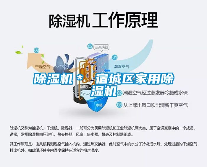 好色先生污污版＊ 宿城区家用好色先生污污版