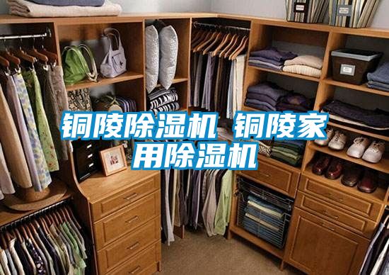 铜陵好色先生污污版◆铜陵家用好色先生污污版