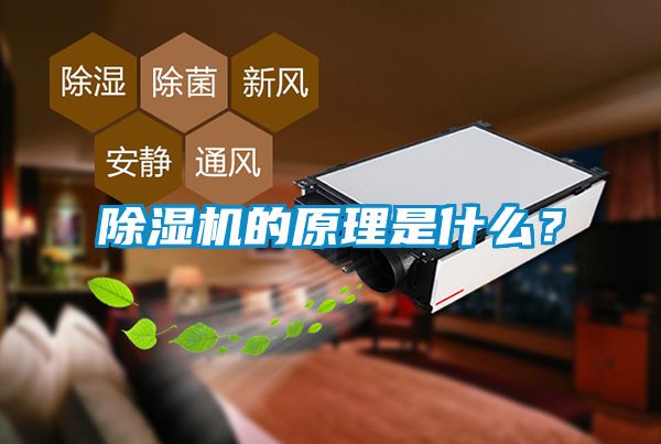 好色先生污污版的原理是什么？