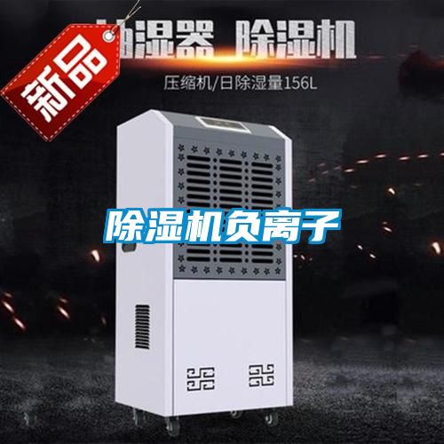 好色先生污污版负离子