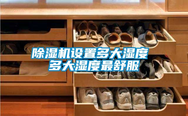 好色先生污污版设置多大湿度 多大湿度最舒服