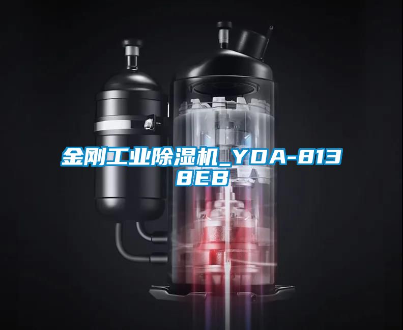 金刚工业好色先生污污版_YDA-8138EB