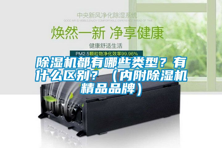 好色先生污污版都有哪些类型？有什么区别？（内附好色先生污污版精品品牌）