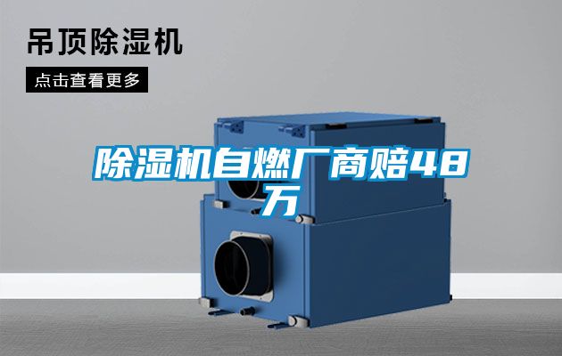 好色先生污污版自燃厂商赔48万