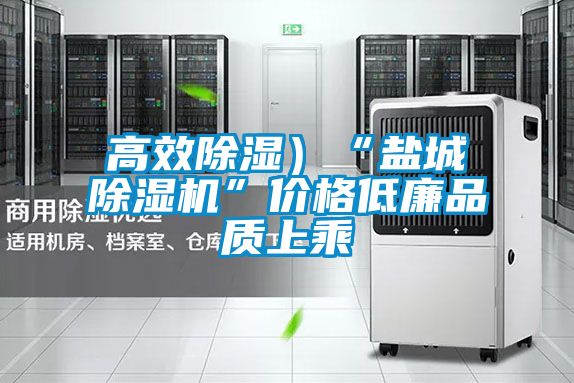 高效除湿）“盐城好色先生污污版”价格低廉品质上乘