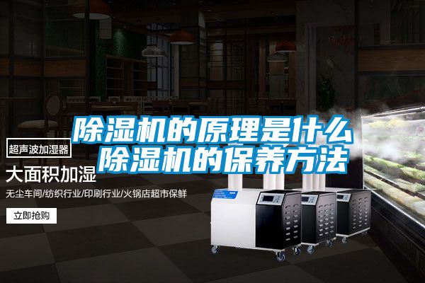 好色先生污污版的原理是什么 好色先生污污版的保养方法