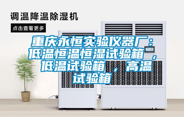 重庆永恒实验仪器厂：低温恒温恒湿试验箱 , 低温试验箱 , 高温试验箱
