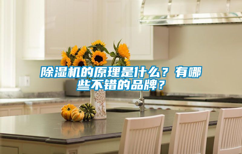 好色先生污污版的原理是什么？有哪些不错的品牌？